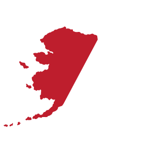 area49logo-for-hearder